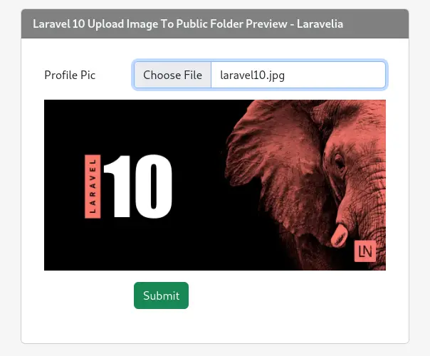 laravel-10-upload-image-to-public-folder