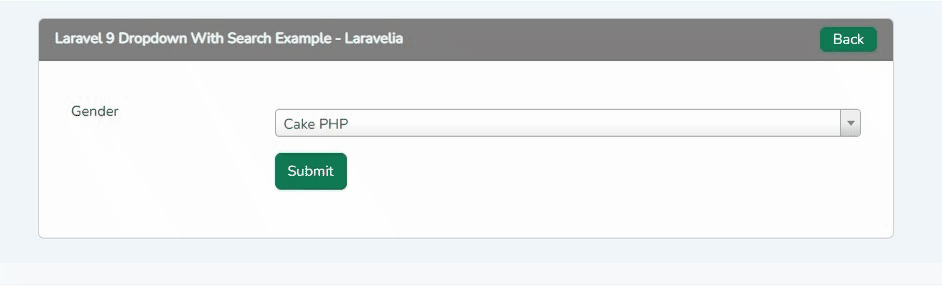 laravel-9-dropdown-with-search-example